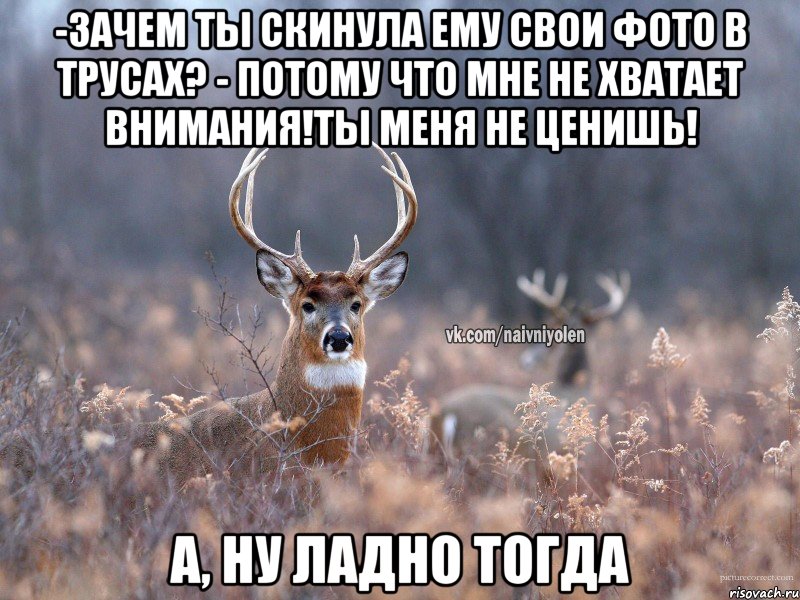 -Зачем ты скинула ему свои фото в трусах? - Потому что мне не хватает внимания!Ты меня не ценишь! А, ну ладно тогда, Мем   Наивный олень