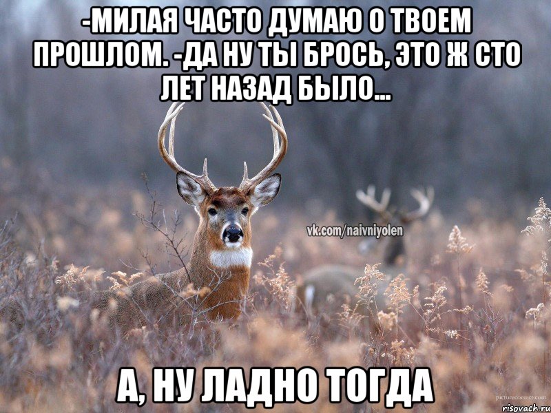 -Милая часто думаю о твоем прошлом. -Да ну ты брось, это ж сто лет назад было... А, НУ ЛАДНО ТОГДА, Мем   Наивный олень