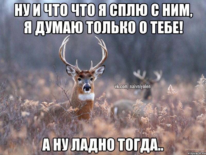 ну и что что я сплю с ним, я думаю только о тебе! а ну ладно тогда.., Мем   Наивный олень