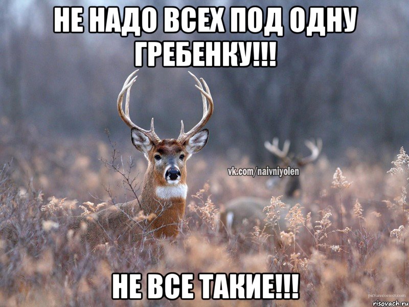 Не надо всех под одну гребенку!!! НЕ ВСЕ ТАКИЕ!!!, Мем   Наивный олень