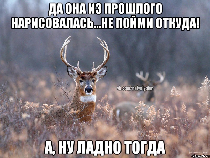 да она из прошлого нарисовалась...не пойми откуда! А, ну ладно тогда, Мем   Наивный олень