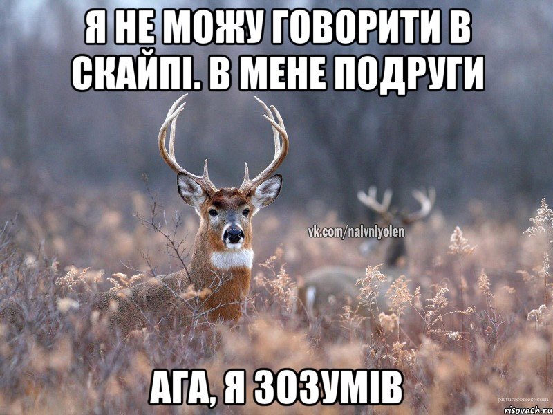 Я не можу говорити в скайпі. В мене подруги Ага, я зозумів, Мем   Наивный олень