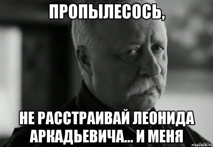 Пропылесось, Не расстраивай Леонида Аркадьевича... и меня, Мем Не расстраивай Леонида Аркадьевича