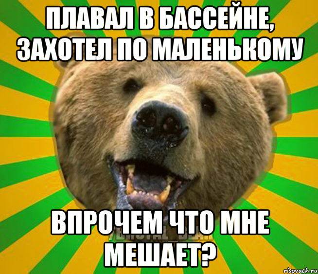 ПЛАВАЛ В БАССЕЙНЕ, ЗАХОТЕЛ ПО МАЛЕНЬКОМУ ВПРОЧЕМ ЧТО МНЕ МЕШАЕТ?, Мем Нелепый медведь