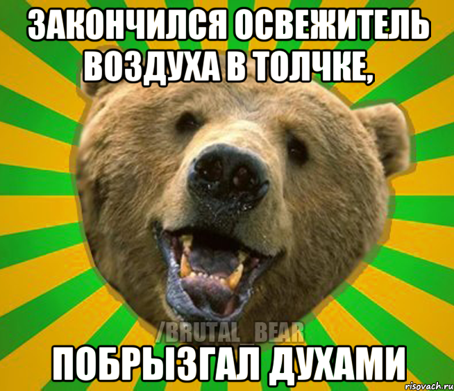 Закончился освежитель воздуха в толчке, Побрызгал духами, Мем Нелепый медведь