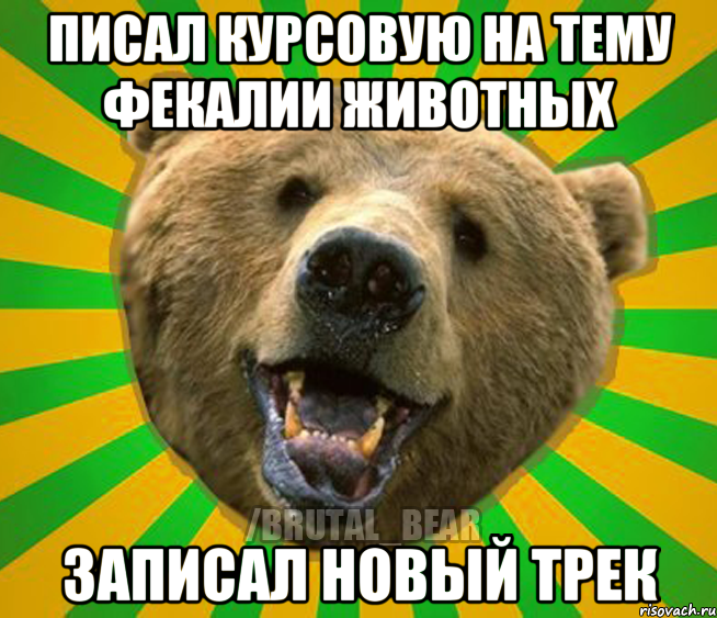 писал курсовую на тему фекалии животных записал новый трек, Мем Нелепый медведь