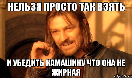 Нельзя просто так взять И убедить Камашину что она не жирная, Мем Нельзя просто так взять и (Боромир мем)