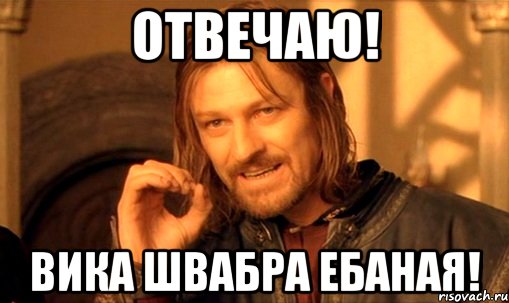 Отвечаю! Вика швабра ебаная!, Мем Нельзя просто так взять и (Боромир мем)