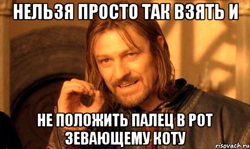 Нельзя просто так взять и не положить палец в рот зевающему коту, Мем Нельзя просто так взять и (Боромир мем)