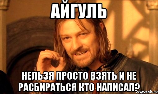 Айгуль нельзя просто взять и не расбираться кто написал?, Мем Нельзя просто так взять и (Боромир мем)