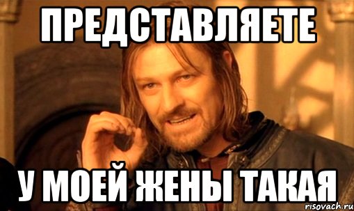 ПРЕДСТАВЛЯЕТЕ У МОЕЙ ЖЕНЫ ТАКАЯ, Мем Нельзя просто так взять и (Боромир мем)