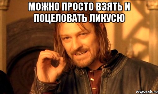 можно просто взять и поцеловать ликусю , Мем Нельзя просто так взять и (Боромир мем)