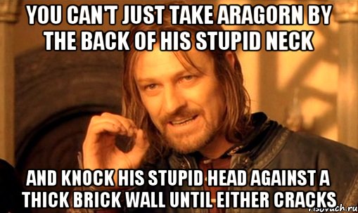 You can't just take Aragorn by the back of his stupid neck and knock his stupid head against a thick brick wall until either cracks, Мем Нельзя просто так взять и (Боромир мем)