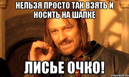 нельзя просто так взять и носить на шапке лисье очко!, Мем Нельзя просто так взять и (Боромир мем)