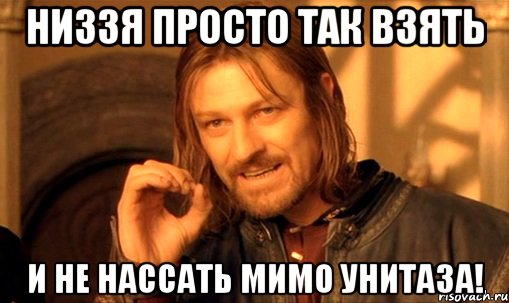 низзя просто так взять и не нассать мимо унитаза!, Мем Нельзя просто так взять и (Боромир мем)