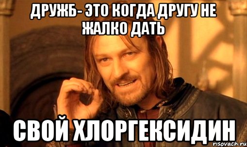 дружб- это когда другу не жалко дать свой Хлоргексидин, Мем Нельзя просто так взять и (Боромир мем)