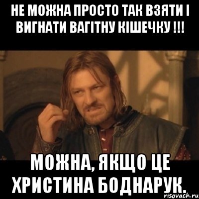 Не можна просто так взяти і вигнати вагітну кішечку !!! Можна, якщо це Христина Боднарук., Мем Нельзя просто взять