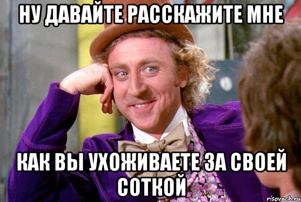 ну давайте расскажите мне как вы ухоживаете за своей соткой, Мем Ну давай расскажи (Вилли Вонка)