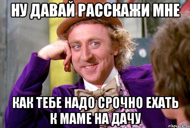 ну давай расскажи мне как тебе надо срочно ехать к маме на дачу, Мем Ну давай расскажи (Вилли Вонка)