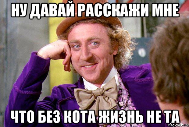 ну давай расскажи мне что без кота жизнь не та, Мем Ну давай расскажи (Вилли Вонка)