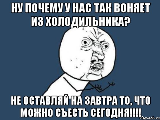 Ну почему у нас так воняет из холодильника? Не оставляй на завтра то, что можно съесть сегодня!!!!, Мем Ну почему