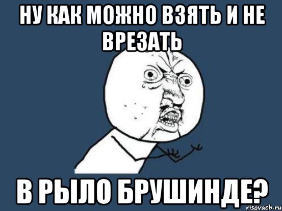 ну как можно взять и не врезать в рыло Брушинде?, Мем Ну почему