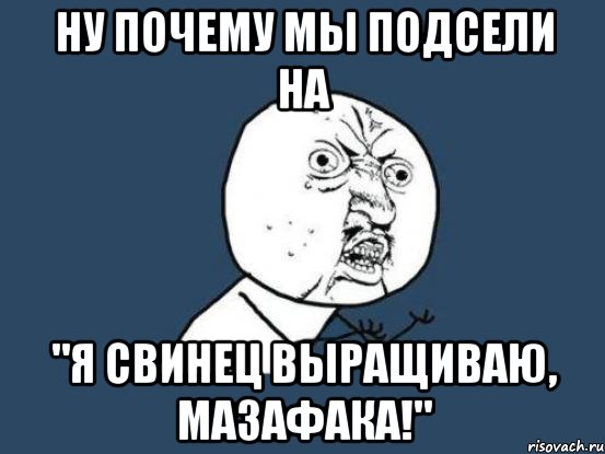 Ну почему мы подсели на "Я свинец выращиваю, мазафака!", Мем Ну почему