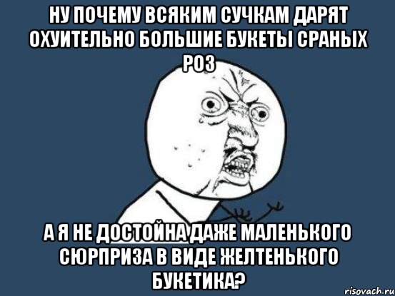 Ну почему всяким сучкам дарят охуительно большие букеты сраных роз а я не достойна даже маленького сюрприза в виде желтенького букетика?, Мем Ну почему