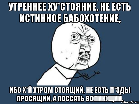 Утреннее ху*стояние, не есть истинное бабохотение, ибо х*й утром стоящий, не есть п*зды просящий, а поссать вопиющий., Мем Ну почему