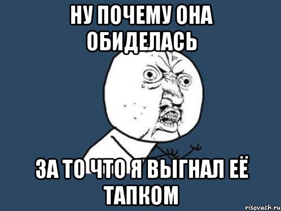 ну почему она обиделась за то что я выгнал её тапком, Мем Ну почему