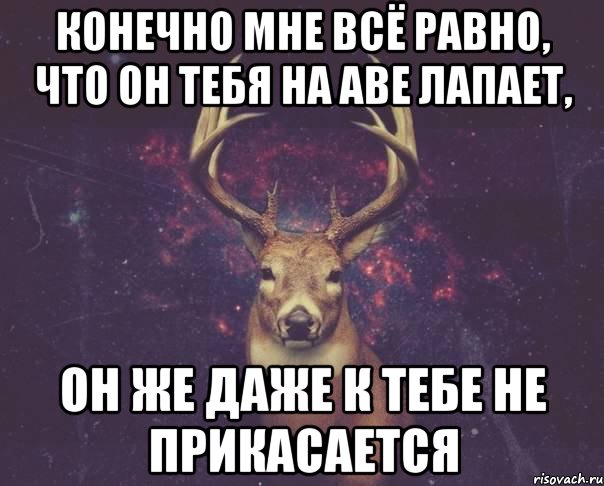 КОНЕЧНО МНЕ ВСЁ РАВНО, ЧТО ОН ТЕБЯ НА АВЕ ЛАПАЕТ, ОН ЖЕ ДАЖЕ К ТЕБЕ НЕ ПРИКАСАЕТСЯ, Мем  олень наивный