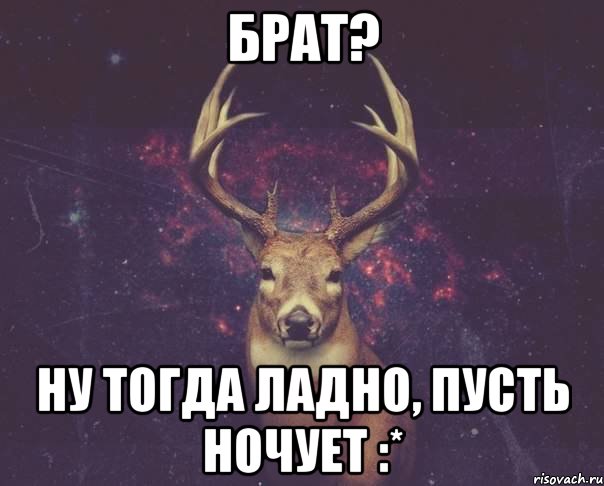 Брат? ну тогда ладно, пусть ночует :*, Мем  олень наивный