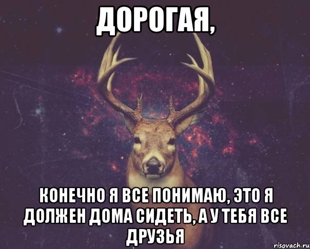 дорогая, Конечно я все понимаю, это я должен дома сидеть, а у тебя все друзья, Мем  олень наивный