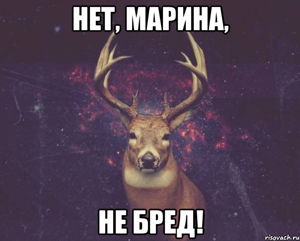 Нет, Марина, Не БРЕД!, Мем  олень наивный