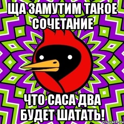 Ща замутим такое сочетание что саса два будет шатать!, Мем Омская птица