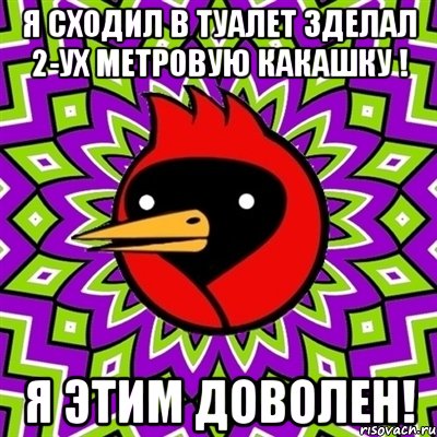 Я сходил в туалет зделал 2-ух метровую какашку ! я этим доволен!, Мем Омская птица