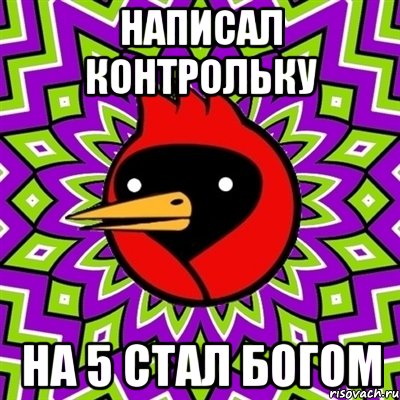 написал контрольку на 5 стал богом, Мем Омская птица