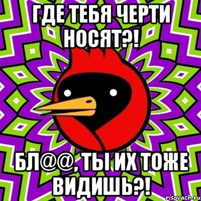 Где тебя черти носят?! Бл@@, ты их тоже видишь?!, Мем Омская птица