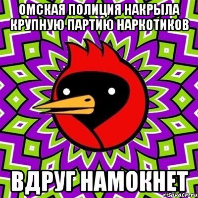 Омская полиция накрыла крупную партию наркотиков Вдруг намокнет, Мем Омская птица