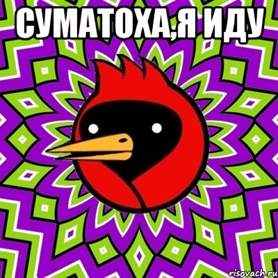 Суматоха,я иду , Мем Омская птица