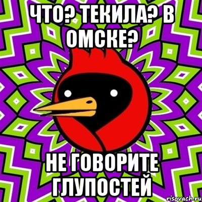 ЧТО? ТЕКИЛА? В ОМСКЕ? НЕ ГОВОРИТЕ ГЛУПОСТЕЙ, Мем Омская птица