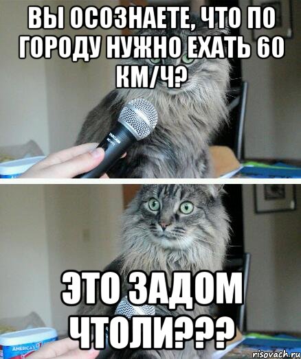 Вы осознаете, что по городу нужно ехать 60 км/ч? Это задом чтоли???, Комикс  кот с микрофоном