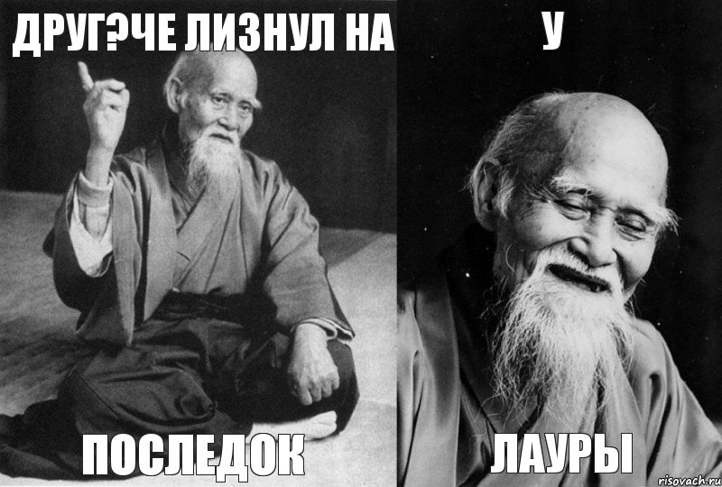 Друг?че лизнул на Последок У Лауры, Комикс Мудрец-монах (4 зоны)