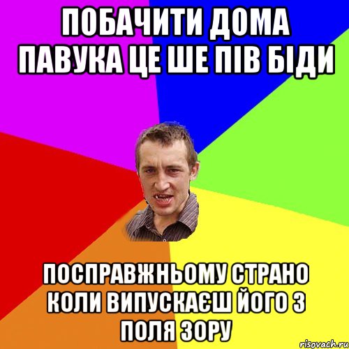 ПОБАЧИТИ ДОМА ПАВУКА ЦЕ ШЕ ПІВ БІДИ ПОСПРАВЖНЬОМУ СТРАНО КОЛИ ВИПУСКАЄШ ЙОГО З ПОЛЯ ЗОРУ, Мем Чоткий паца