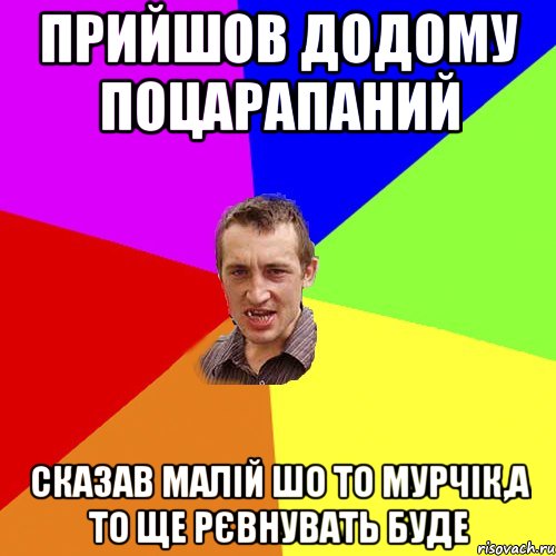 прийшов додому поцарапаний сказав малій шо то мурчік,а то ще рєвнувать буде, Мем Чоткий паца