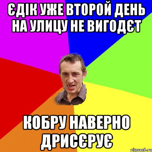 єдік уже второй день на улицу не вигодєт кобру наверно дрисєрує, Мем Чоткий паца