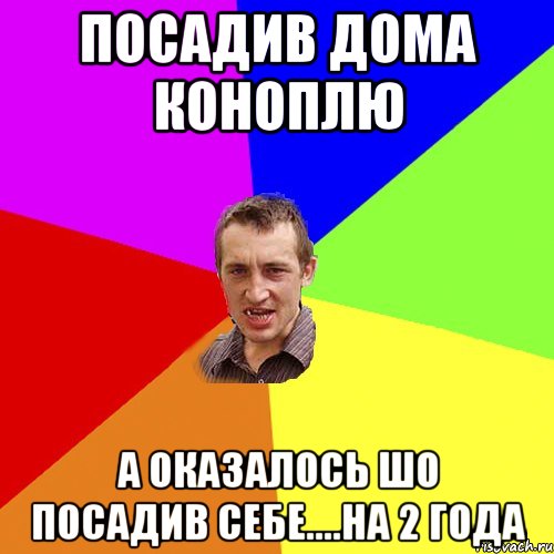 Посадив дома коноплю А оказалось шо посадив себе....на 2 года, Мем Чоткий паца