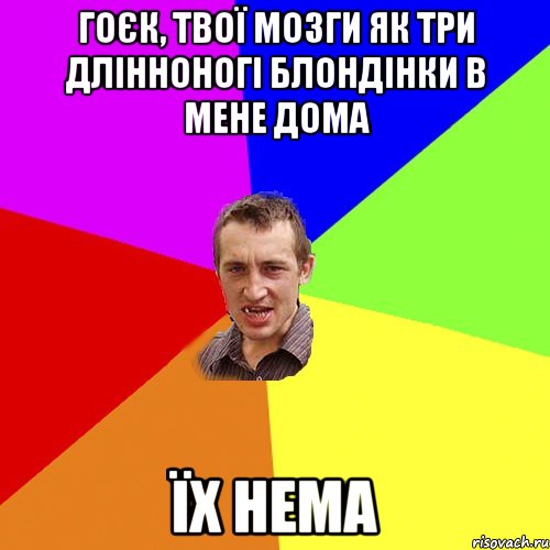 гоєк, твої мозги як три длінноногі блондінки в мене дома їх нема, Мем Чоткий паца