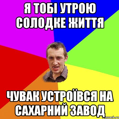 я тобі утрою солодке життя чувак устроївся на сахарний завод, Мем Чоткий паца