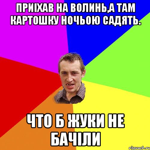 Приіхав на Волинь,а там картошку ночьою садять. Что б жуки не бачіли, Мем Чоткий паца